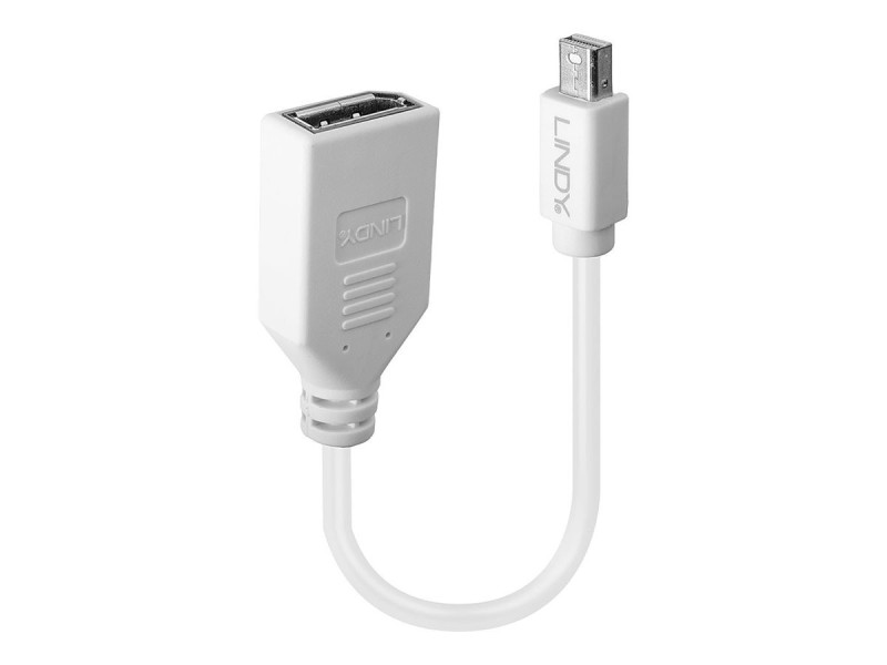 LINDY Câble adaptateur Mini DP M vers