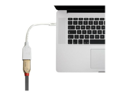 LINDY Câble adaptateur Mini DP M vers