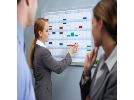 nobo Tableau de planning annuel Performance Plus