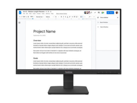LENOVO ThinkVision S22-4e 21.5p FHD