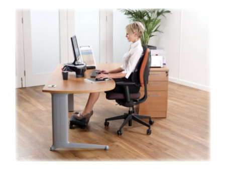 FELLOWES Support Moniteur Plus Smart