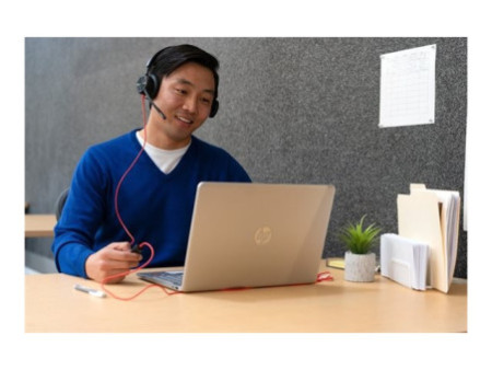 HP Poly BW 8225 Stereo -M USB-C +USB-C/A