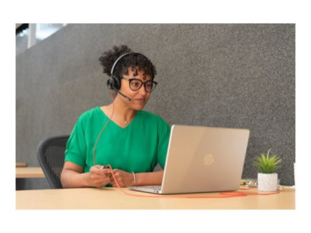 HP Poly BW 8225 Stereo -M USB-C +USB-C/A