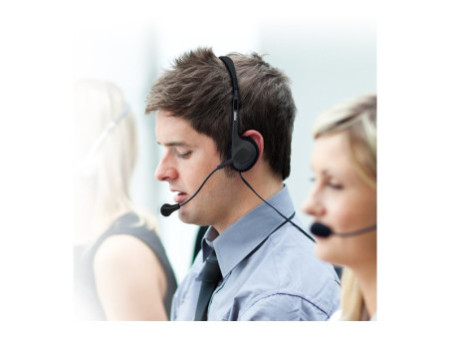 PORT DESIGNS Stereo Headset With Mic