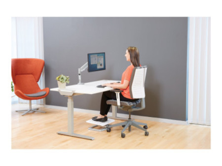 FELLOWES EPPASINGLE ARGENT