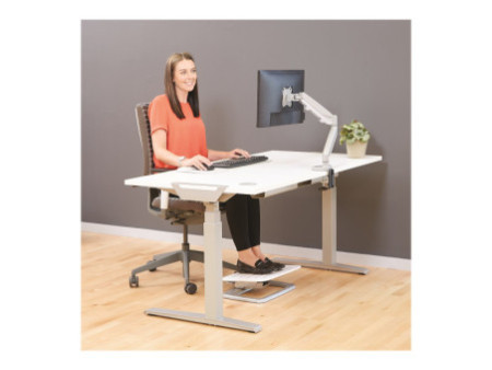 FELLOWES EPPASINGLE ARGENT
