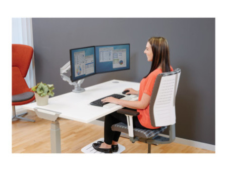 FELLOWES EPPADUAL ARGENT