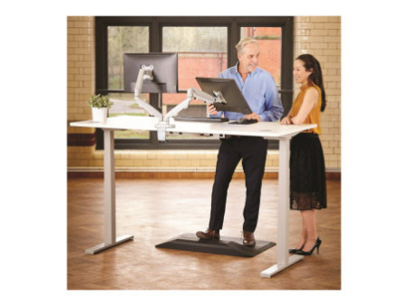FELLOWES EPPADUAL ARGENT