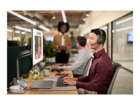 LOGI Zone Wired 2 for Business