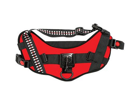 ACTIVEON 360 Dog Vest