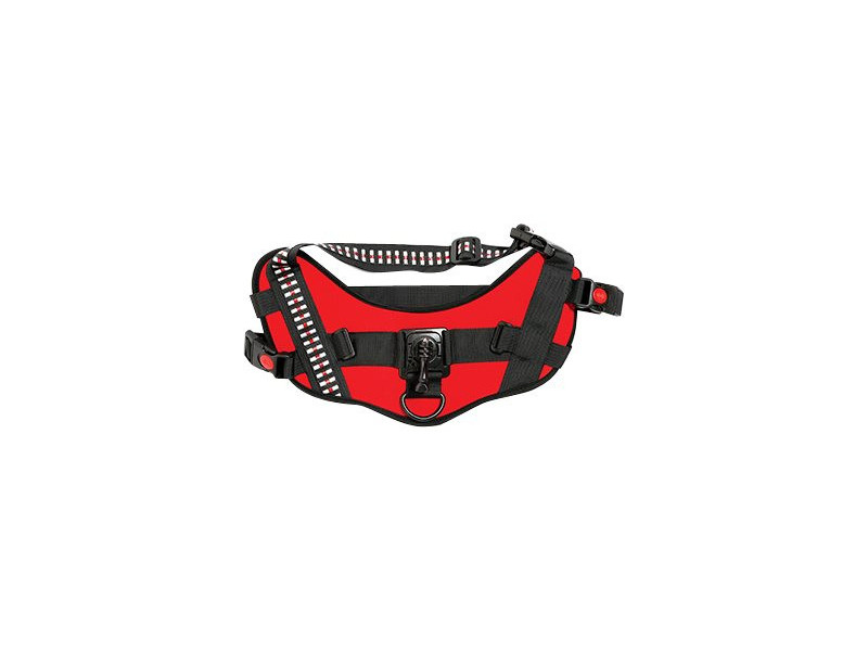 ACTIVEON 360 Dog Vest