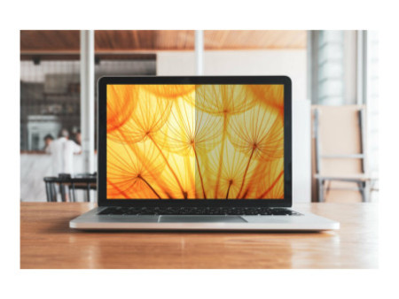3M Bright Screen Privacy Filter 16inch