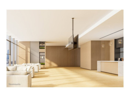 NEOMOUNTS Back-to-Back Ceiling Mount