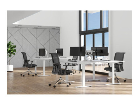 NEOMOUNTS Next One Desk Mount double