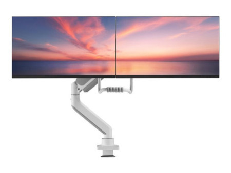 NEOMOUNTS Next Core Desk Mount 2 screens
