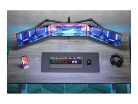 NEOMOUNTS Flat Screen Desk Mount clamp