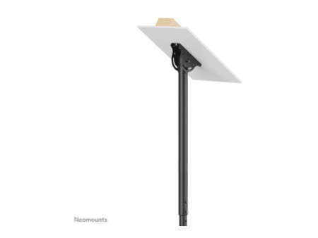 NEOMOUNTS Flat Screen Ceiling Mount