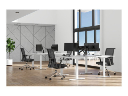 NEOMOUNTS Next One Desk Mount double