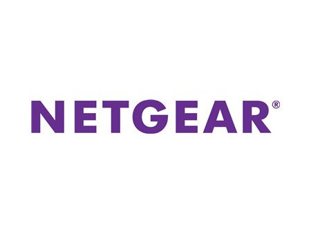 NETGEAR INSIGHT PRO 1 SINGLE 1 YEAR