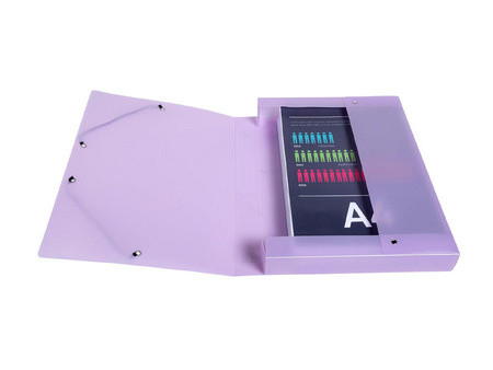 EXACOMPTA Boîte de classement Chromaline Pastel, A4, assorti