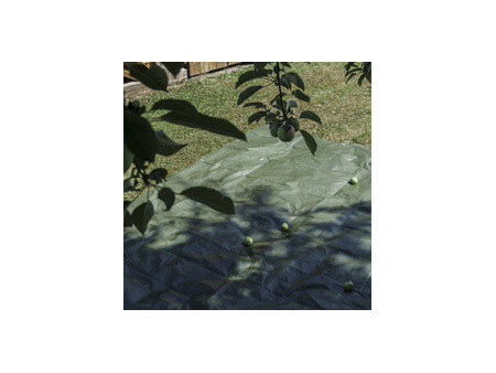 AGRIplus Bâche toile avec oeillets, 6 x 8 m, 150 g, vert