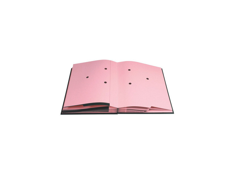 EXACOMPTA Parapheur Direction, A4, 24 compartiments, assorti