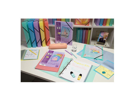 EXACOMPTA Protège-documents, A4, PP, 40 pochettes, assorti