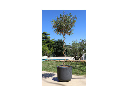 EDA Bac à plantes BASALT UP, rond, 385 mm, vert amande