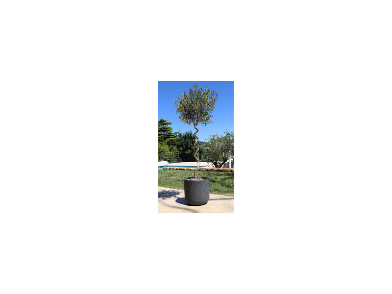 EDA Bac à plantes BASALT UP, rond, 385 mm, vert amande