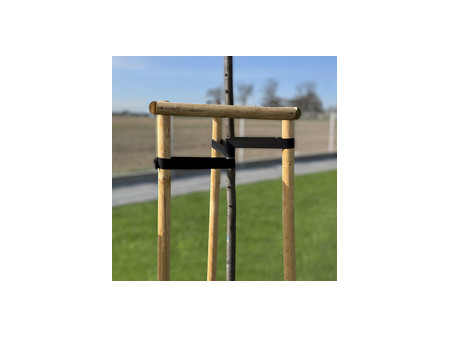 Bradas Bande de ligature pour arbres, PP, 50 mm x 25 m, noir