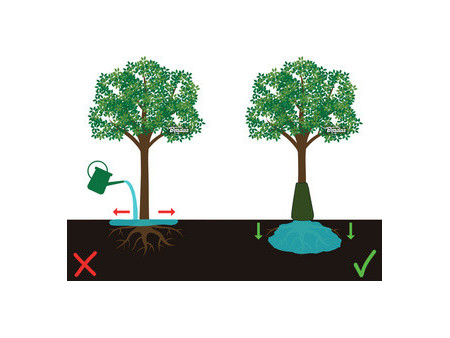 Bradas Sac d'arrosage pour arbres, PVC, 75 litres, vert