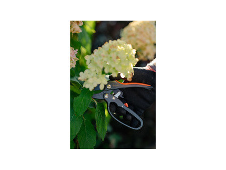 Bradas Sécateur à enclume V-SERIES, anthracite/orange