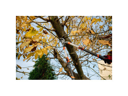 Bradas Coupe-branches Bypass V-SERIES, télescopique