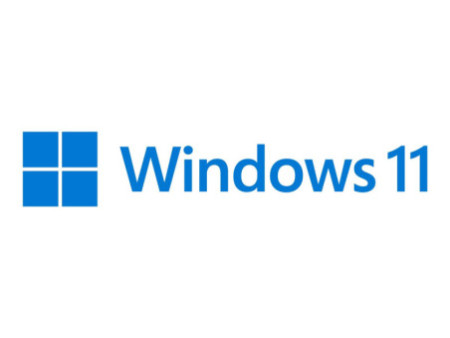 MS 1xWin 11 Home 64Bit 1pk DSP DVD (FR)