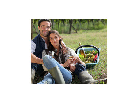 EDA Panier avec anse, 14 litres, plastique, vert