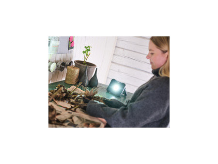 Rapid Projecteur de travail rechargeable LED THE PORTABLE