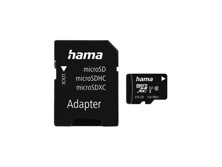 hama Carte mémoire Micro SecureDigital XC, Classe 10, 256 Go