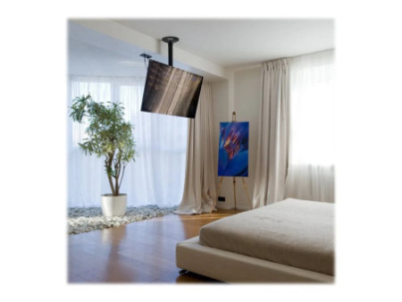 NEOMOUNTS Flatscreen Ceiling Mount