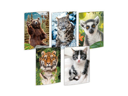RNK Verlag Carton à dessin 'Animaux', A3 - assortiment