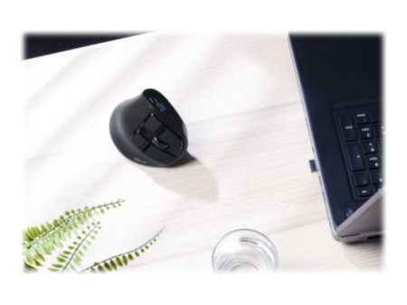 TRUST Souris sans fil ergonomique VOXX