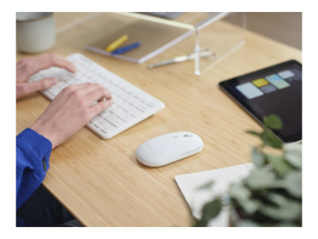TRUST Pack clavier & souris sans fil(FR)