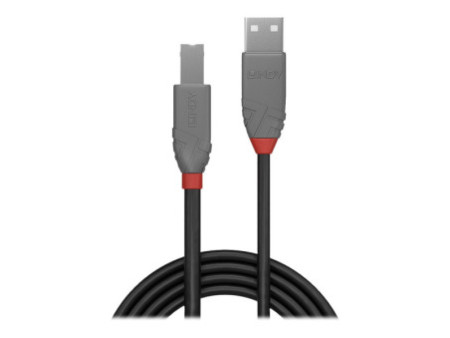 LINDY Câble USB 2.0 type A vers B Anthra