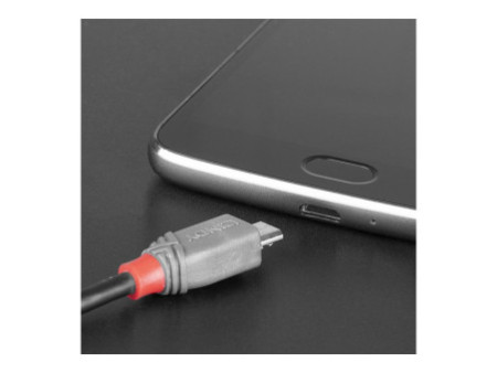 LINDY Câble USB 2.0 Type C vers Micro-B