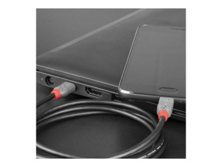 LINDY Câble USB 2.0 Type C vers Micro-B