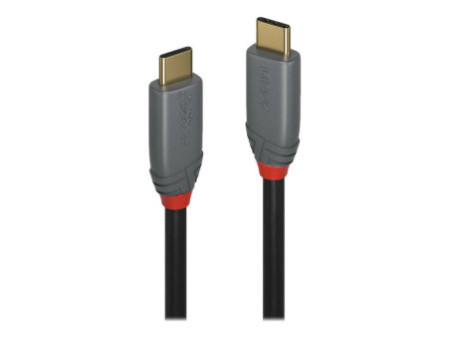 LINDY Câble USB 3.1 type C C 5A Anthra