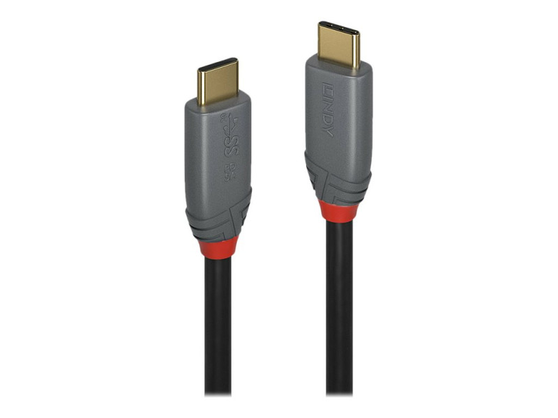 LINDY Câble USB 3.1 type C C 5A Anthra