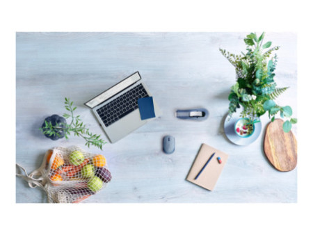 LOGI M171 Wireless Mouse - BLUEGREY
