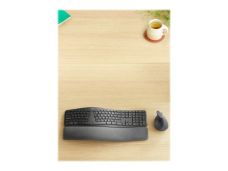 LOGI ERGO K860 - GRAPHITE (FR)