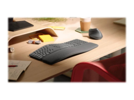 LOGI ERGO K860 - GRAPHITE (FR)