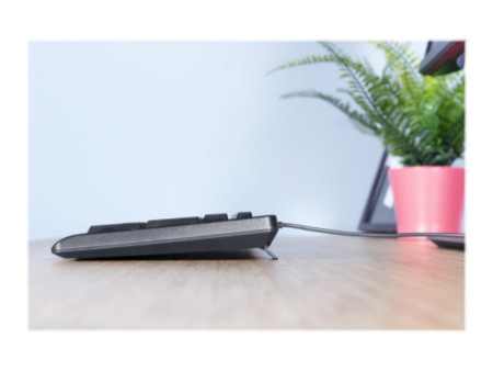 TRUST Clavier filaire PRIMO (FR)